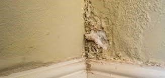 Residential Terrace Waterproofing