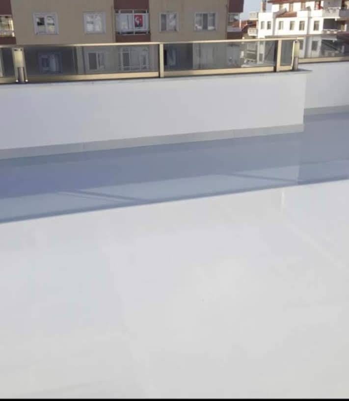 Villa Interior Painting
